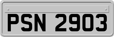 PSN2903