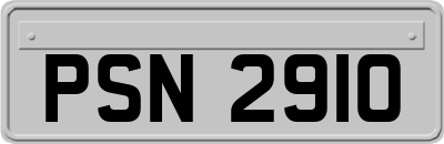 PSN2910