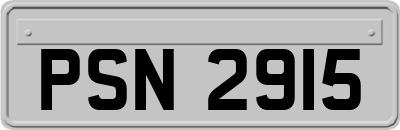 PSN2915