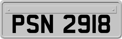 PSN2918