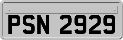 PSN2929
