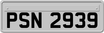 PSN2939