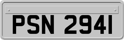 PSN2941