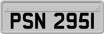 PSN2951