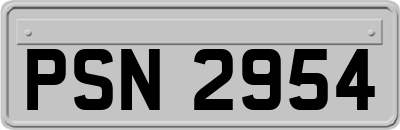 PSN2954