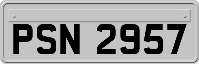 PSN2957