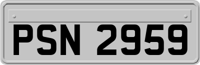 PSN2959