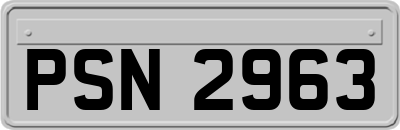 PSN2963