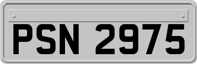 PSN2975