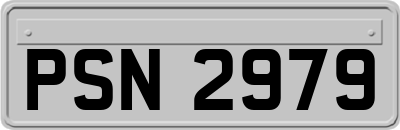 PSN2979