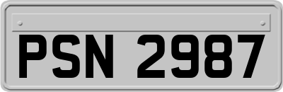 PSN2987