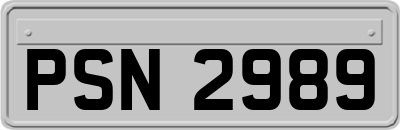 PSN2989