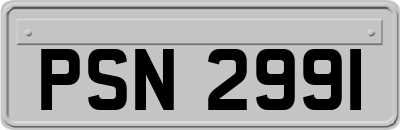 PSN2991