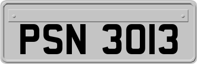 PSN3013