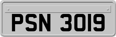 PSN3019