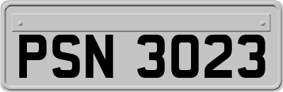 PSN3023