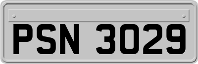 PSN3029
