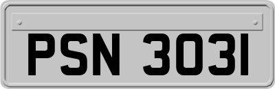 PSN3031