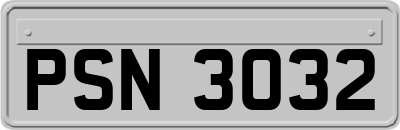 PSN3032