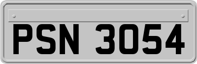 PSN3054