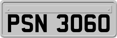 PSN3060