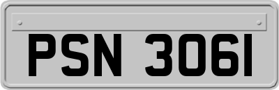PSN3061