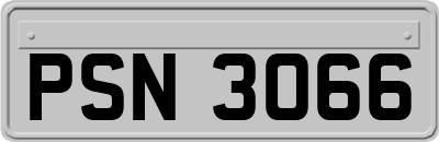 PSN3066