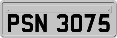 PSN3075