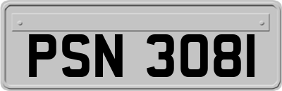 PSN3081
