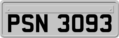 PSN3093