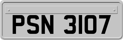 PSN3107