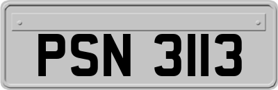 PSN3113