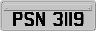 PSN3119