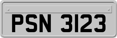 PSN3123