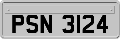 PSN3124