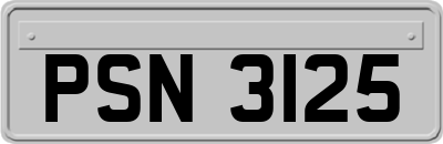 PSN3125