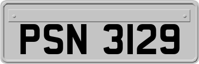 PSN3129