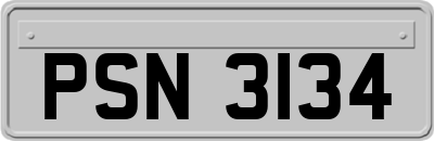 PSN3134
