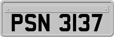 PSN3137