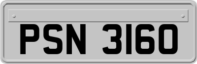 PSN3160