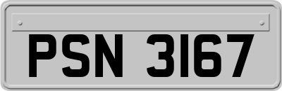 PSN3167
