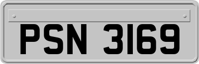 PSN3169