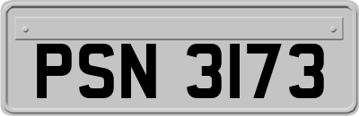 PSN3173