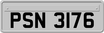PSN3176