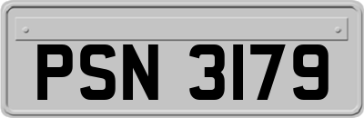 PSN3179