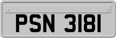 PSN3181