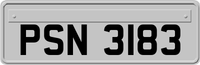 PSN3183