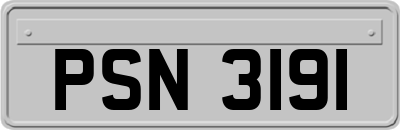 PSN3191