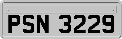PSN3229