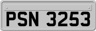 PSN3253